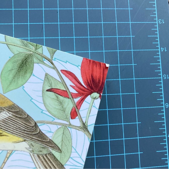 The Beauties of Nature Coloring Book: Flowers, Birds, Butterflies, & Wildlife - Picture 10 of 12